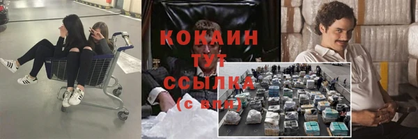 молекула духа Аркадак