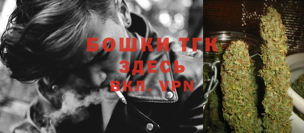 молекула духа Аркадак