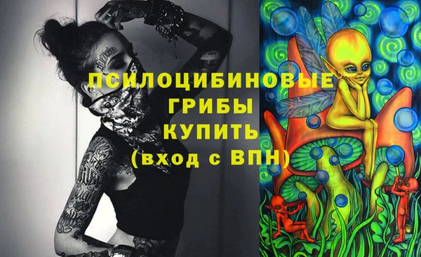 молекула духа Аркадак