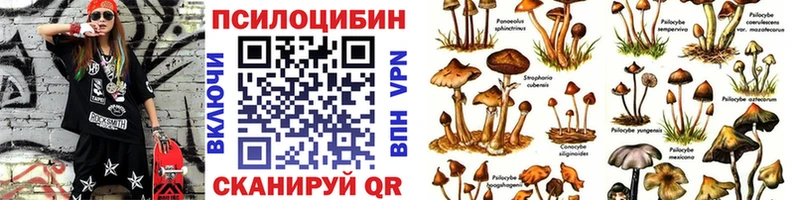 наркошоп  Зея  кракен сайт  Псилоцибиновые грибы GOLDEN TEACHER 